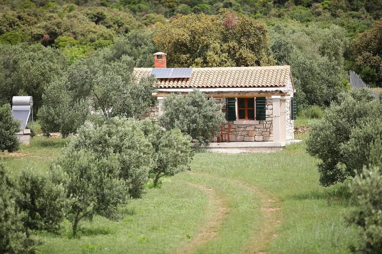 Holiday home House Coral Villa Pasman